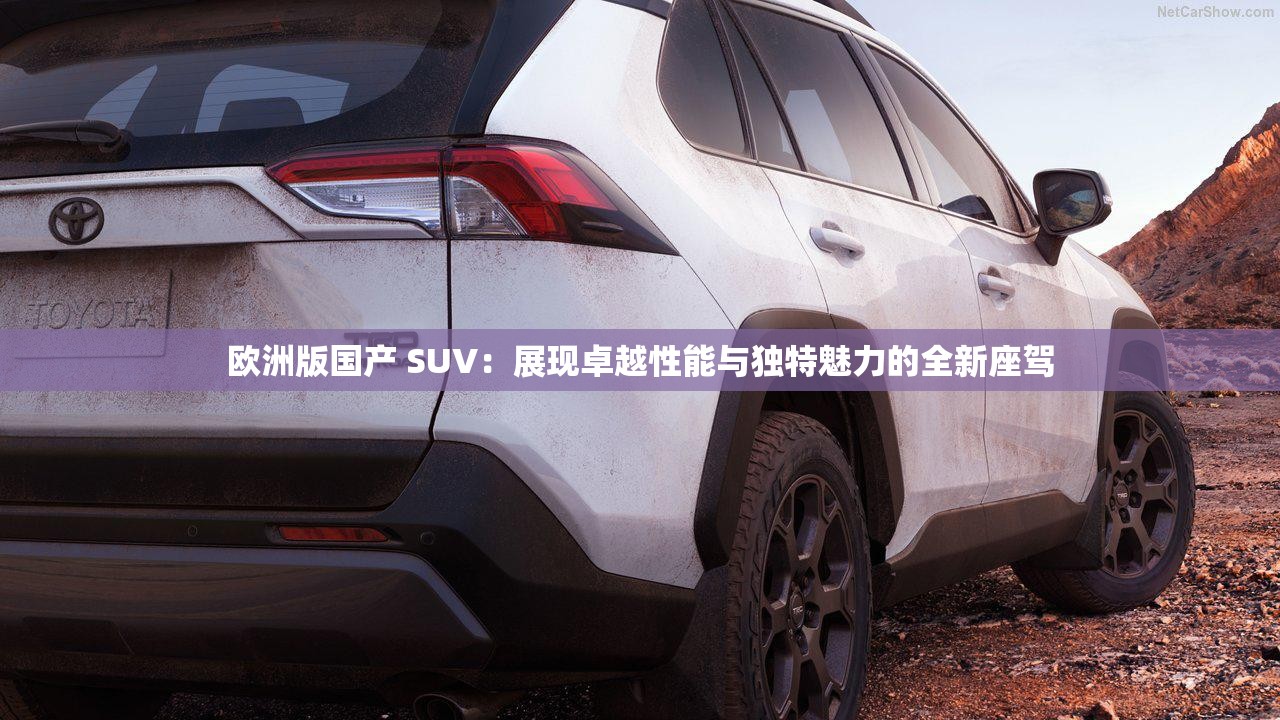 歐洲版國(guó)產(chǎn) SUV：展現(xiàn)卓越性能與獨(dú)特魅力的全新座駕