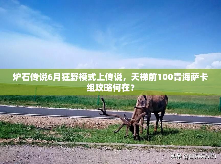 爐石傳說(shuō)6月狂野模式上傳說(shuō)，天梯前100青海薩卡組攻略何在？