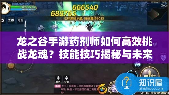 龍之谷手游藥劑師如何高效挑戰(zhàn)龍魂？技能技巧揭秘與未來玩法展望