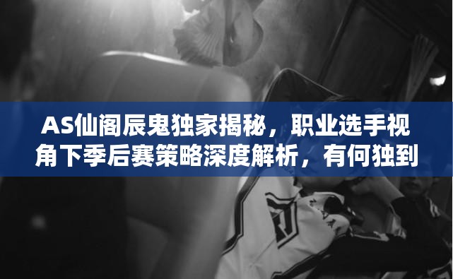 AS仙閣辰鬼獨家揭秘，職業(yè)選手視角下季后賽策略深度解析，有何獨到見解？