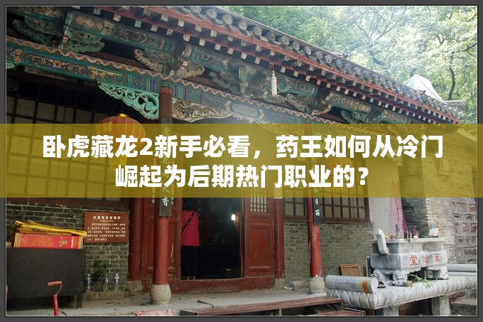 臥虎藏龍2新手必看，藥王如何從冷門崛起為后期熱門職業(yè)的？