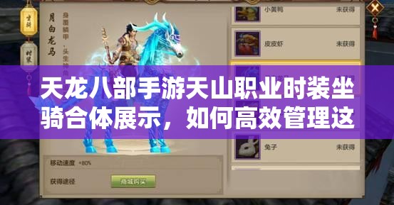 天龍八部手游天山職業(yè)時裝坐騎合體展示，如何高效管理這些炫酷資源？