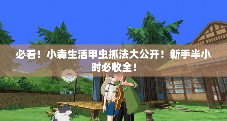 必看！小森生活甲蟲抓法大公開！新手半小時必收全！