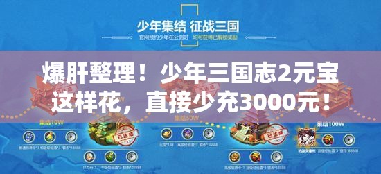 爆肝整理！少年三國志2元寶這樣花，直接少充3000元！