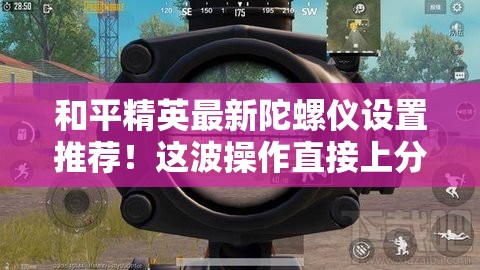和平精英最新陀螺儀設(shè)置推薦！這波操作直接上分如喝水