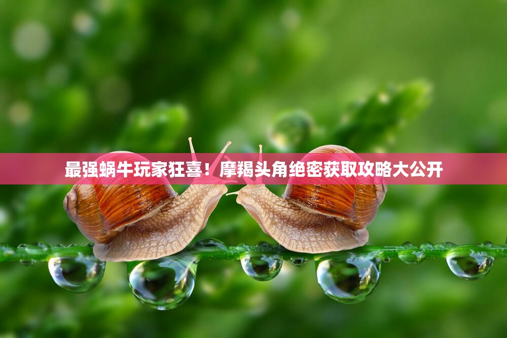 最強蝸牛玩家狂喜！摩羯頭角絕密獲取攻略大公開